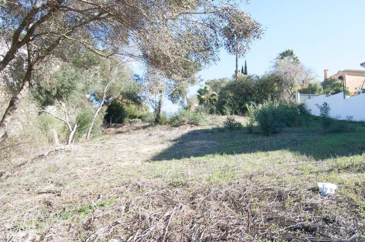 Plot for sale in San Roque
