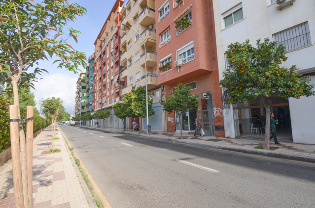 Pis en lloguer in Málaga