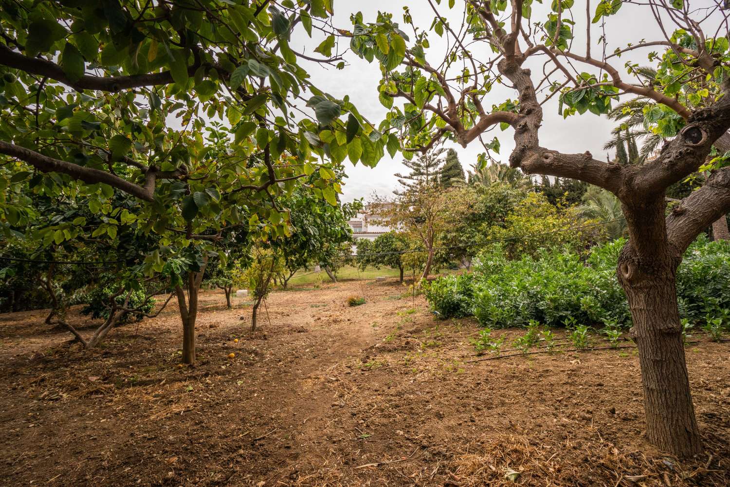 Villa til salgs til Benalmádena Pueblo
